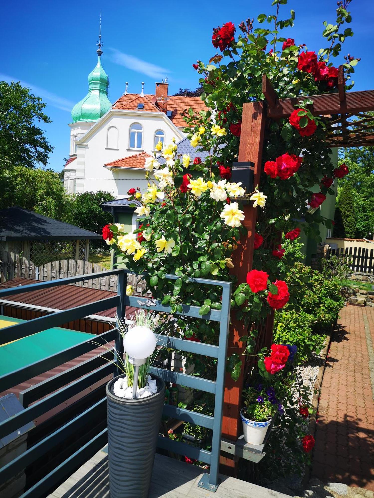 Villa Basia Miedzyzdroje Esterno foto